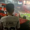flaviovini._