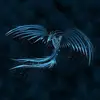djibri902