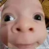 bippp500k