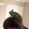dylanrmrz98