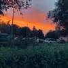 alexcovaci97