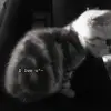 7cchris