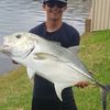 coops_fishtanks2