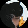 ice_baged