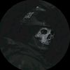 cesarlarios733