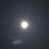 armando_4real