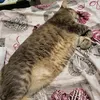 zac24689
