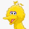 elmoandbigbird94