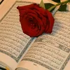 userp3iyk7hk29