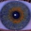 eyehatecatya