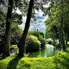 likefoot7