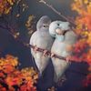 lolo_dode