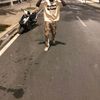 el_moy_057