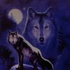barkatthemoon1