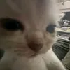daniel_zxcyp