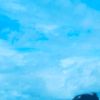 xylzgaa