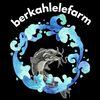 berkahlelefarm