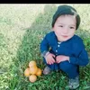 saidrhaman31