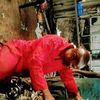 duncan.mabogo