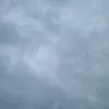 z.i.z.i.z