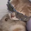 xaxder