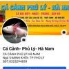 cacanhduyvu6868