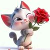 user78461193854520