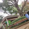 yehtet1008