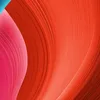 user6317313034009
