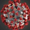 wuhanpneumonia7