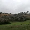 iliasara