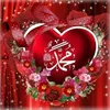 abu.qasim14