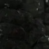 letahsilva