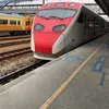 frenchie_puyuma