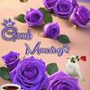 user.jass38