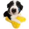 eepylilpuppy