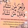 iloveallah511