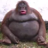 parismamini
