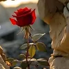 usero67v45f2ja