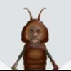 paaficiox