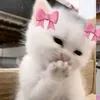 mmmmmmalak1