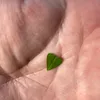 cryfood