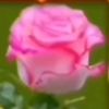 user6l749