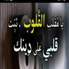 .hayat262