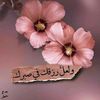nonasayed13