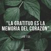 felipesanchez908