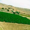usery9a8idl1eg