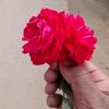 jashim5564