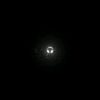 david._.5341