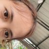 nipon_painnn